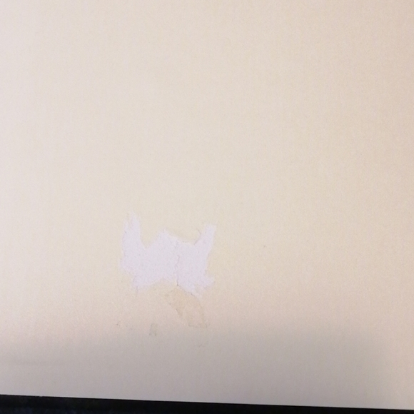 Photo Album - Picture 4 of 4